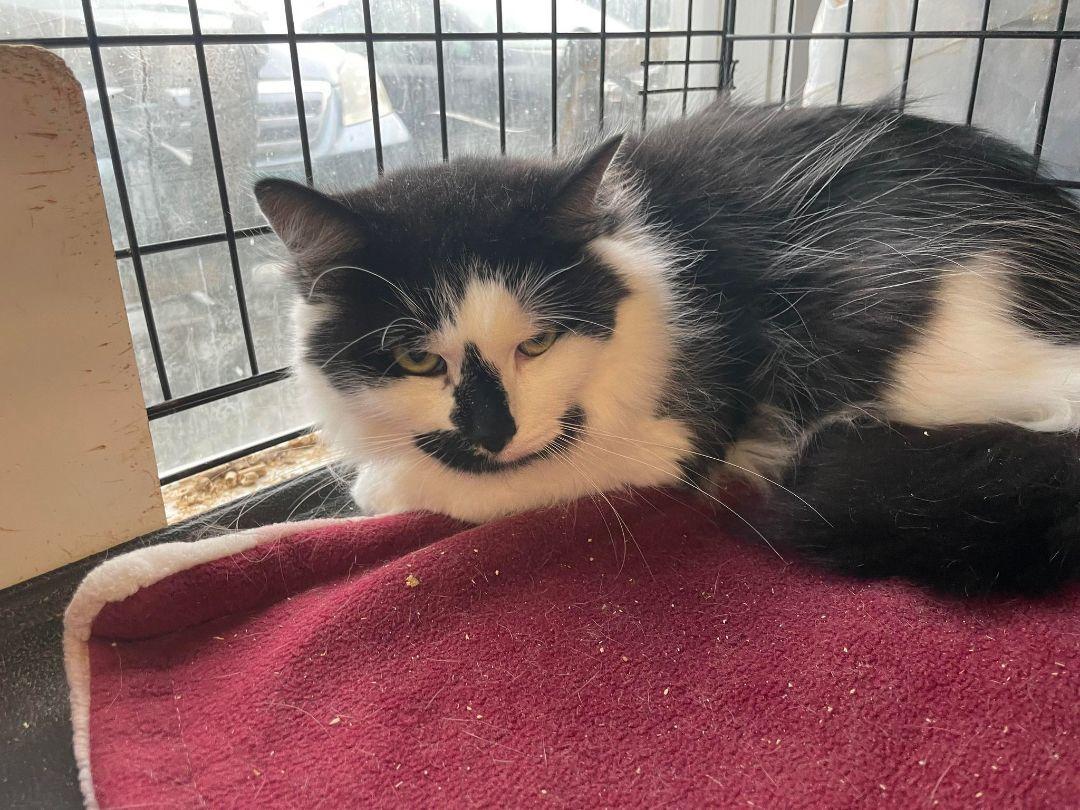 Donovan & Duane Bonded