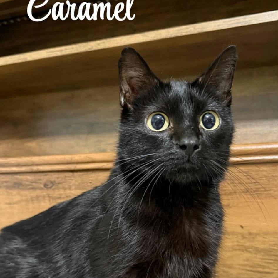 Caramel
