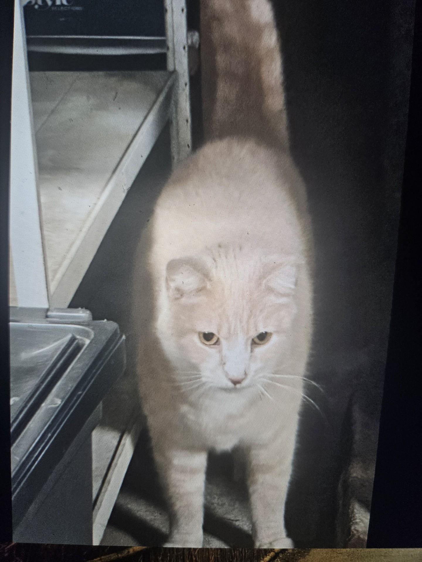 Jackson Is Looking For