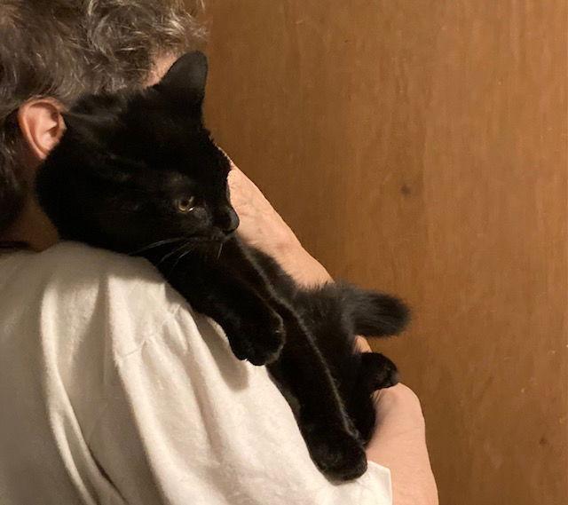 Cassandra Bonded With Connie