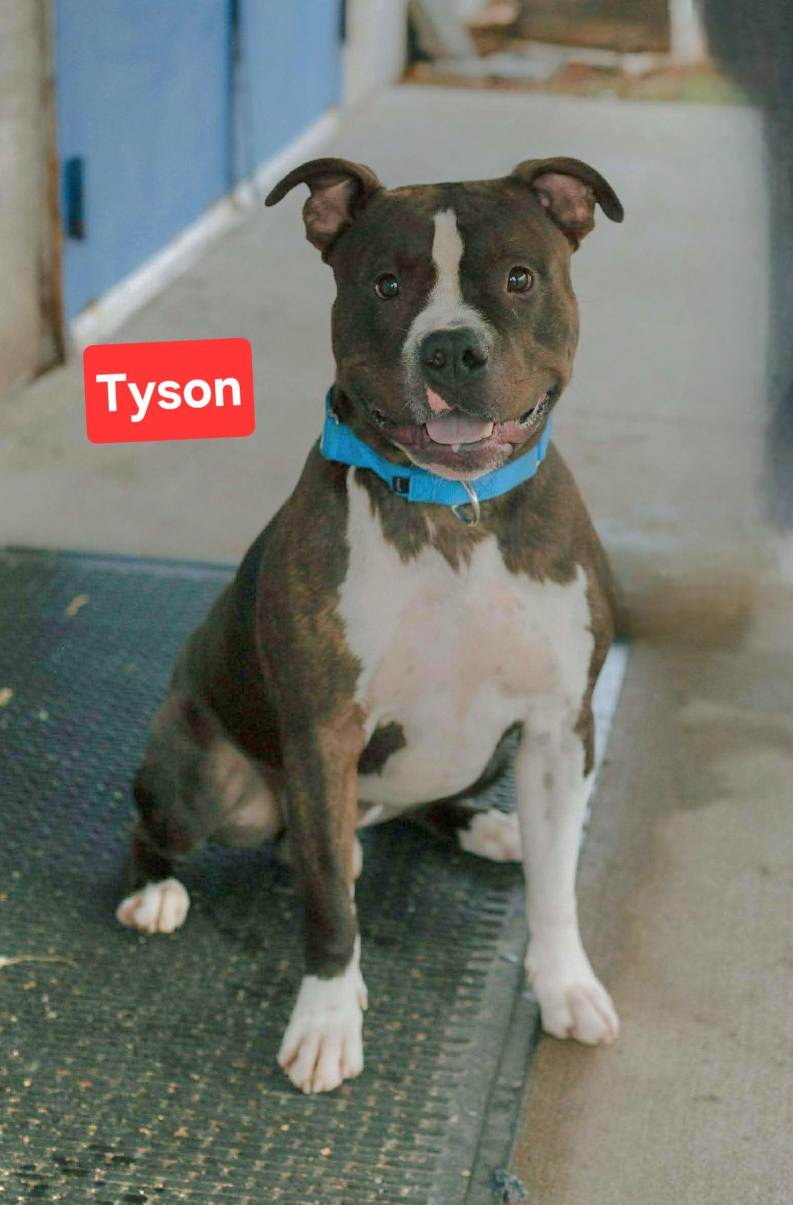 Tyson