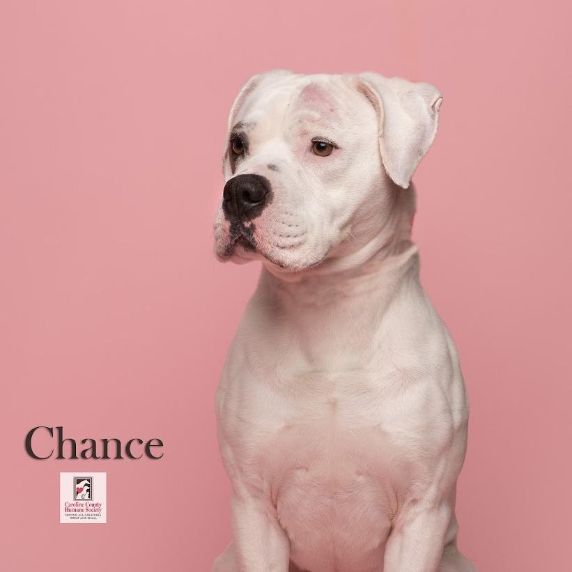 Chance