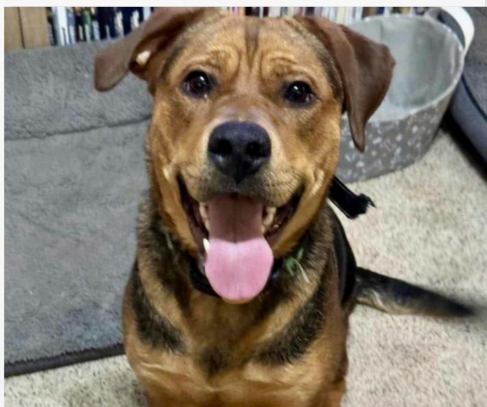 Snickersā¦.super Sweet Girl!!!