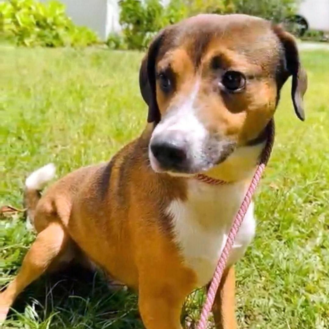 Nino "love Makes Me photo 1