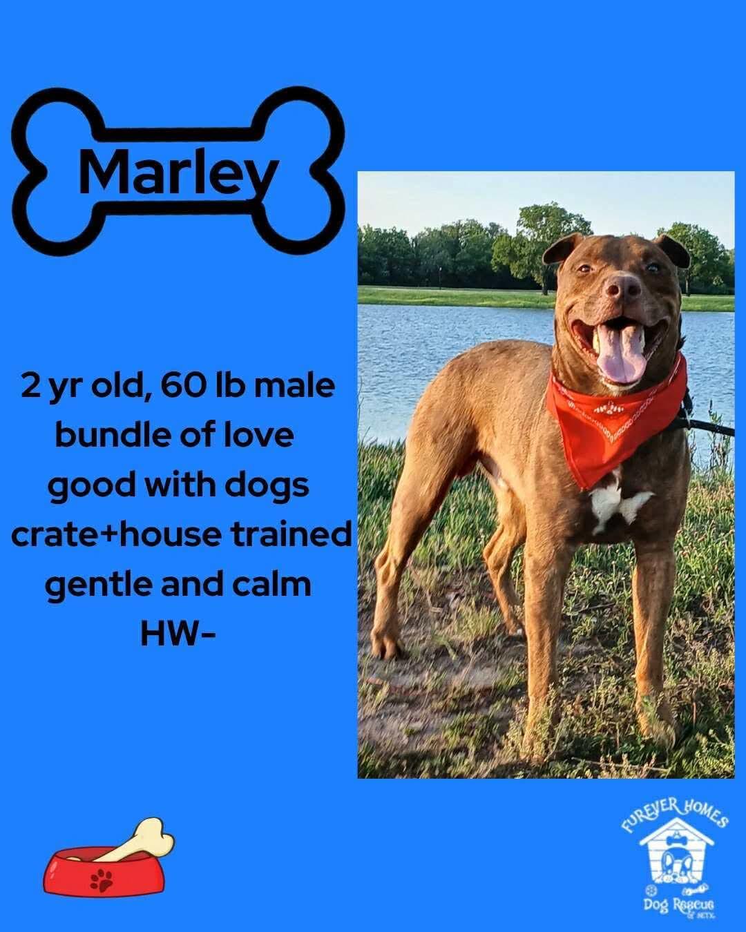 Marley