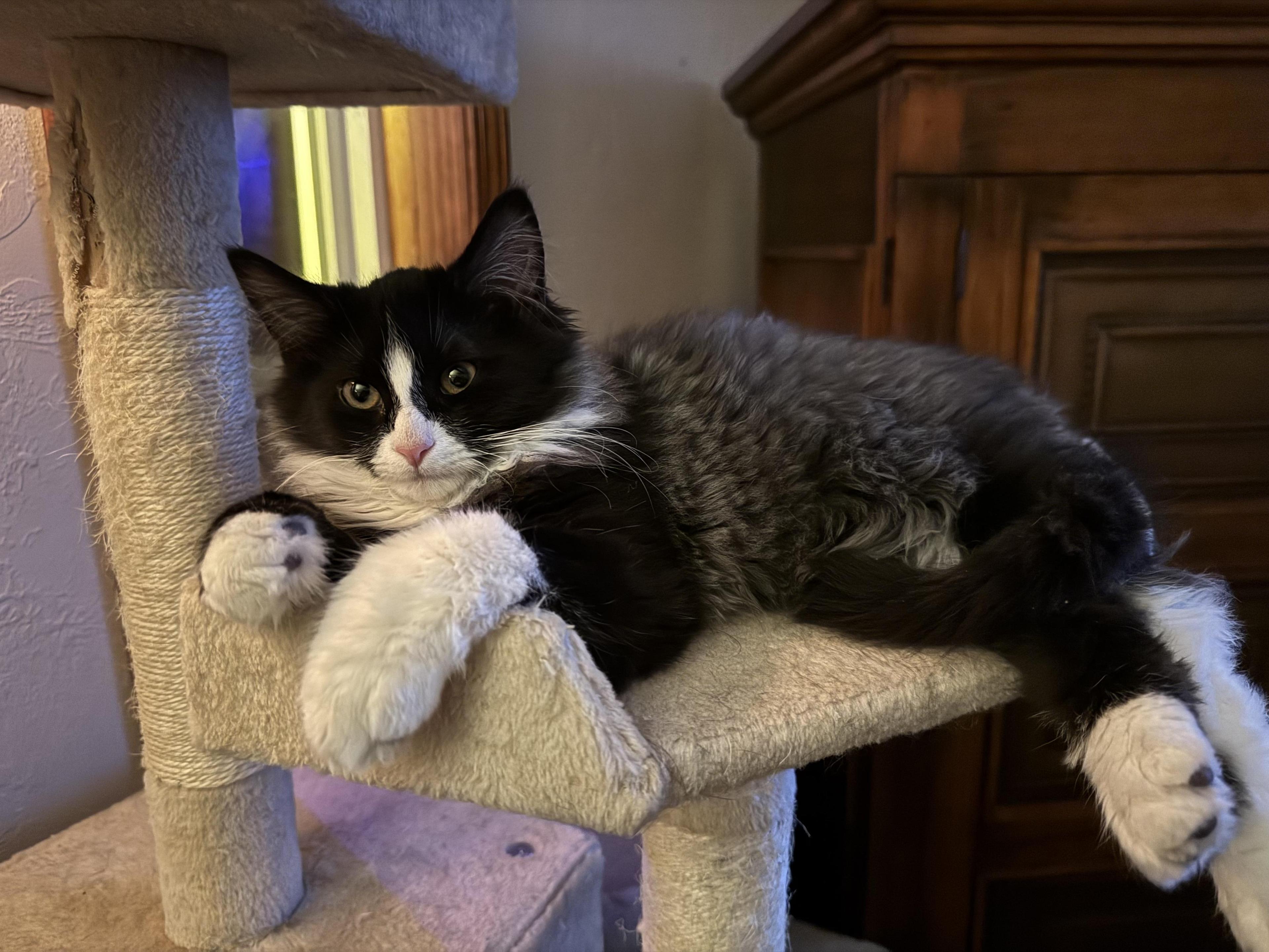 Mr.binx & Ms. Marvel