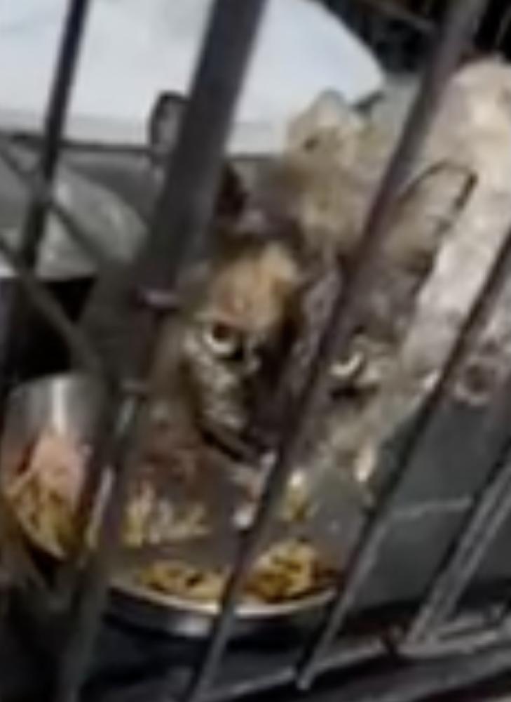 Emma Farmingdale photo 1