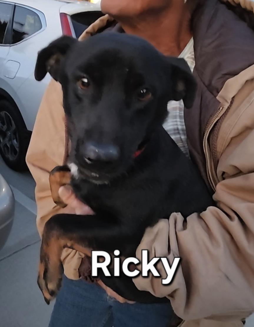 Ricky