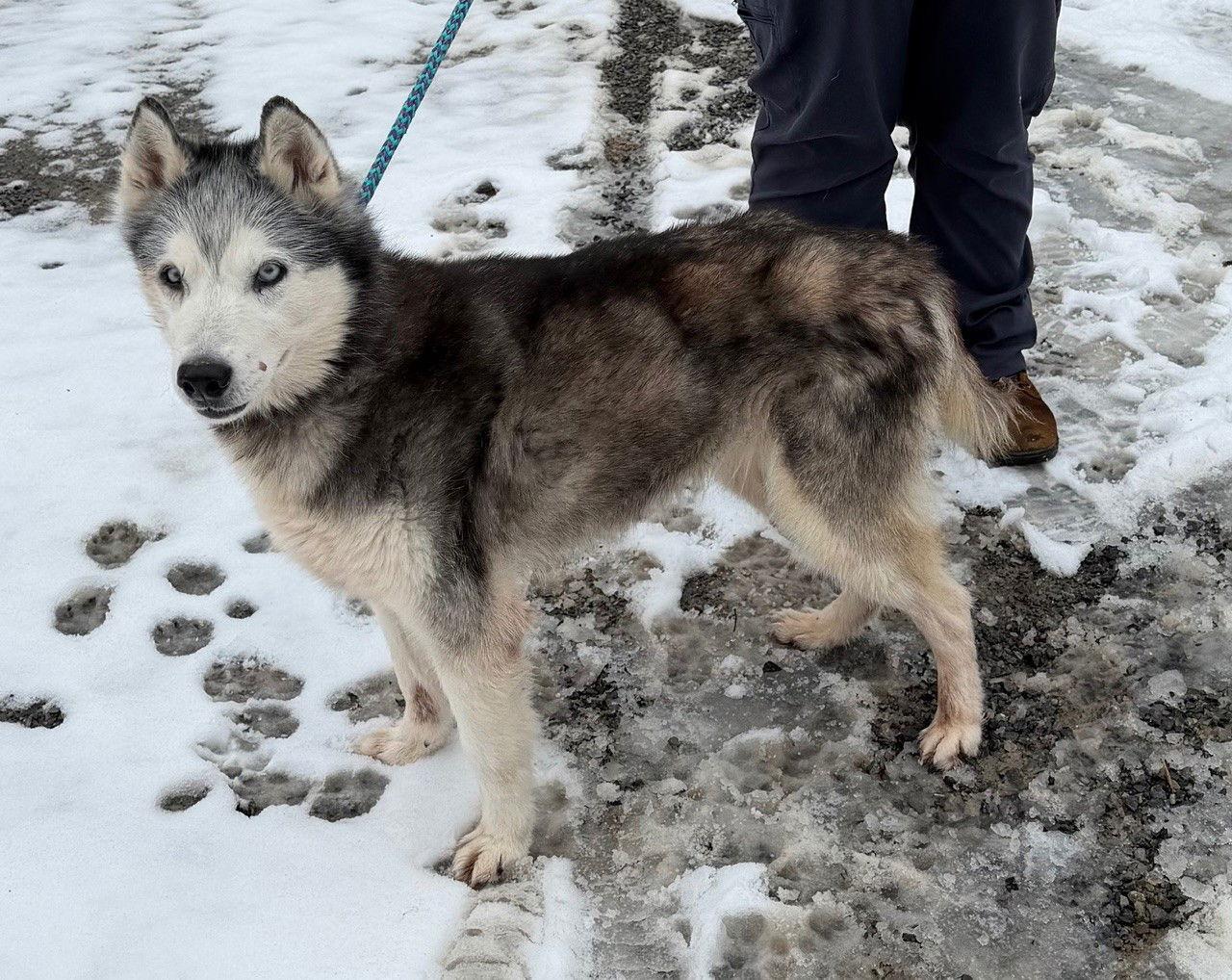 Kira: Bonded With Lucy