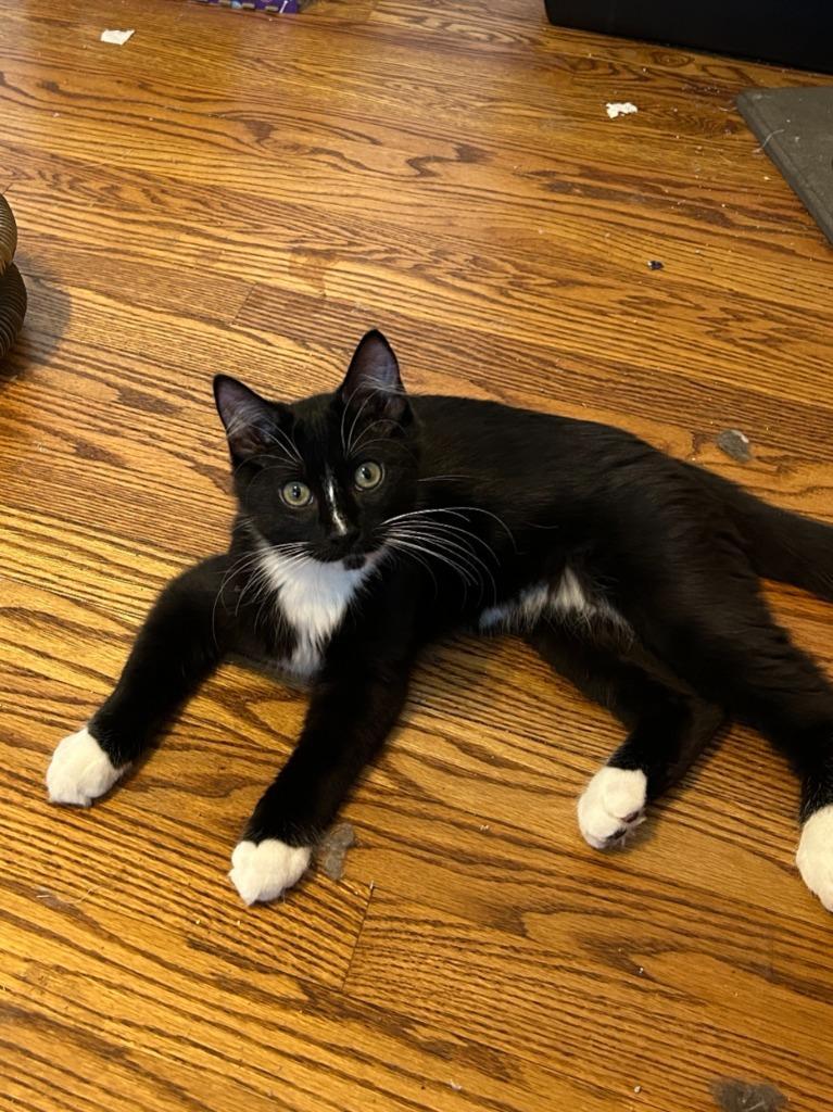 Tucker Bonded With Baxter