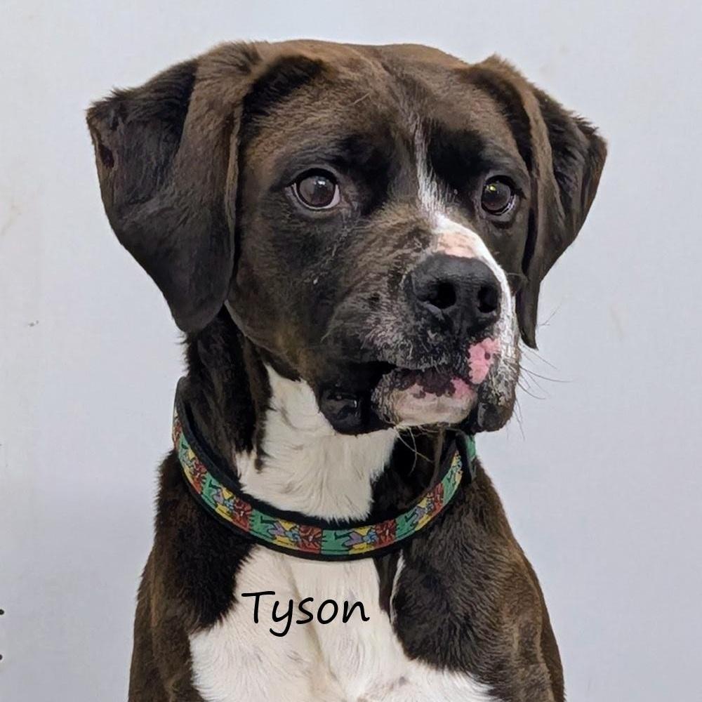 Tyson