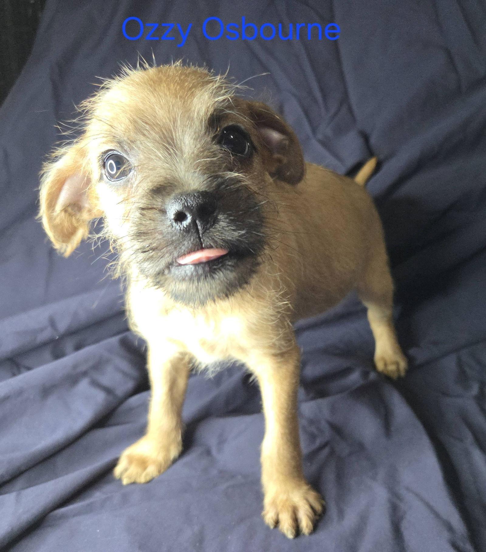 Ozzy Osbourne