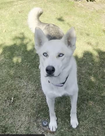 Sweet Tina Ready For