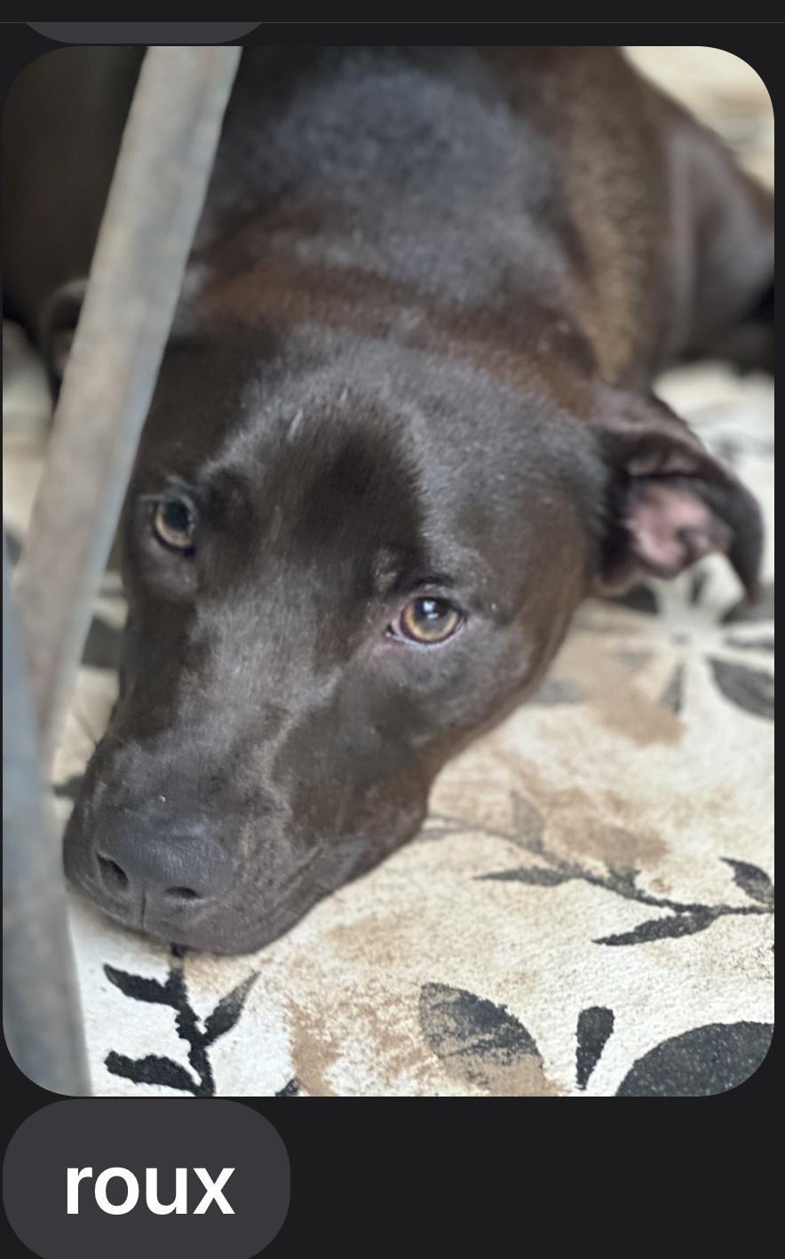 Roux….a Good Time In