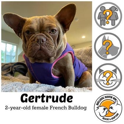 Gertrude