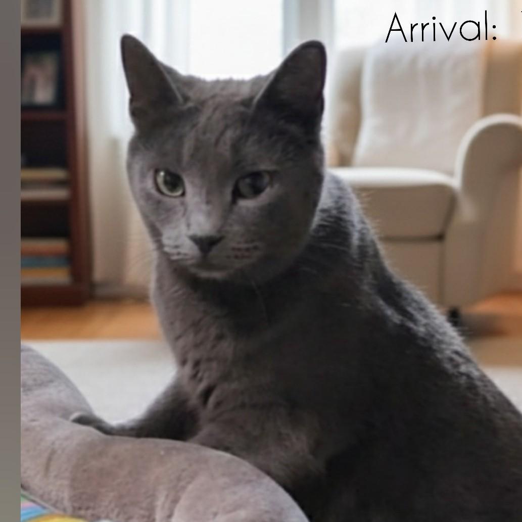 Estelle >>the "selfservice" Snuggler<<