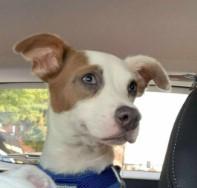 Gilligan Gilligan Island