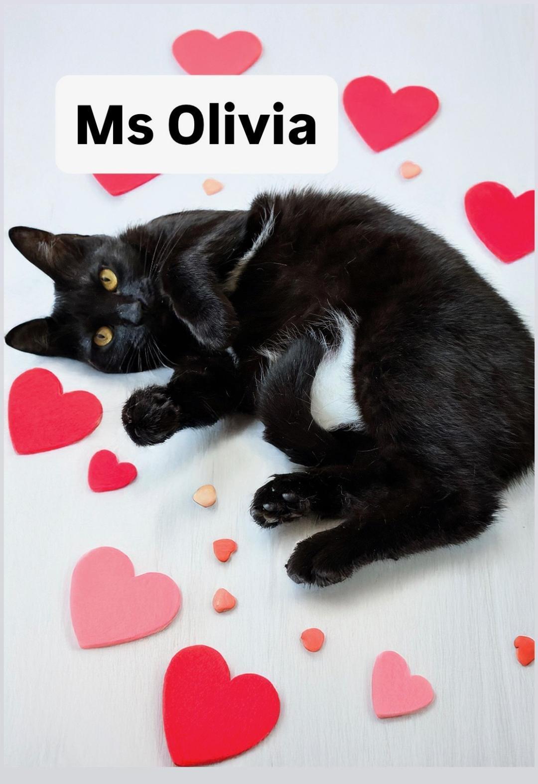 Ms Olivia At Martinez