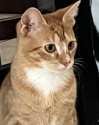 Paolo Petsmart Aventura photo 1