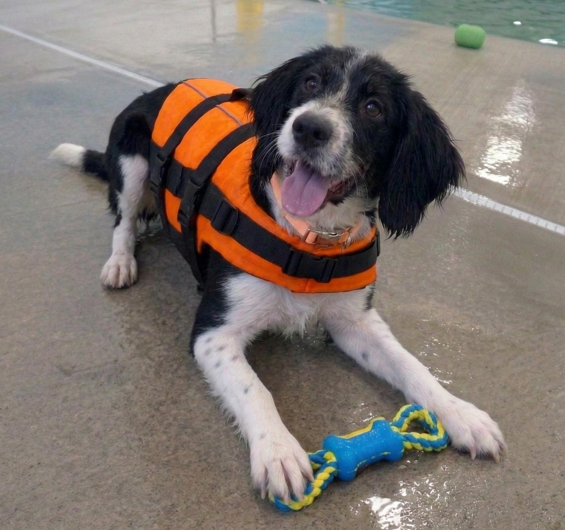 Zeke Swimmer In photo 1