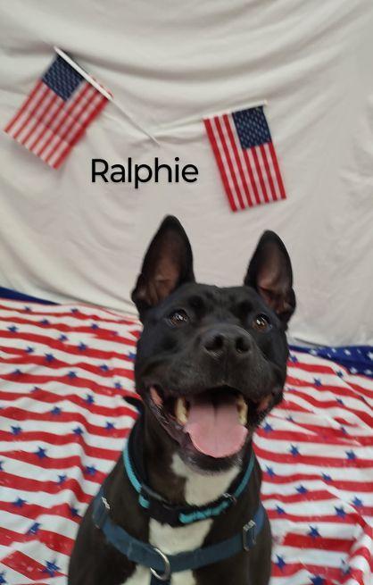 Ralphie