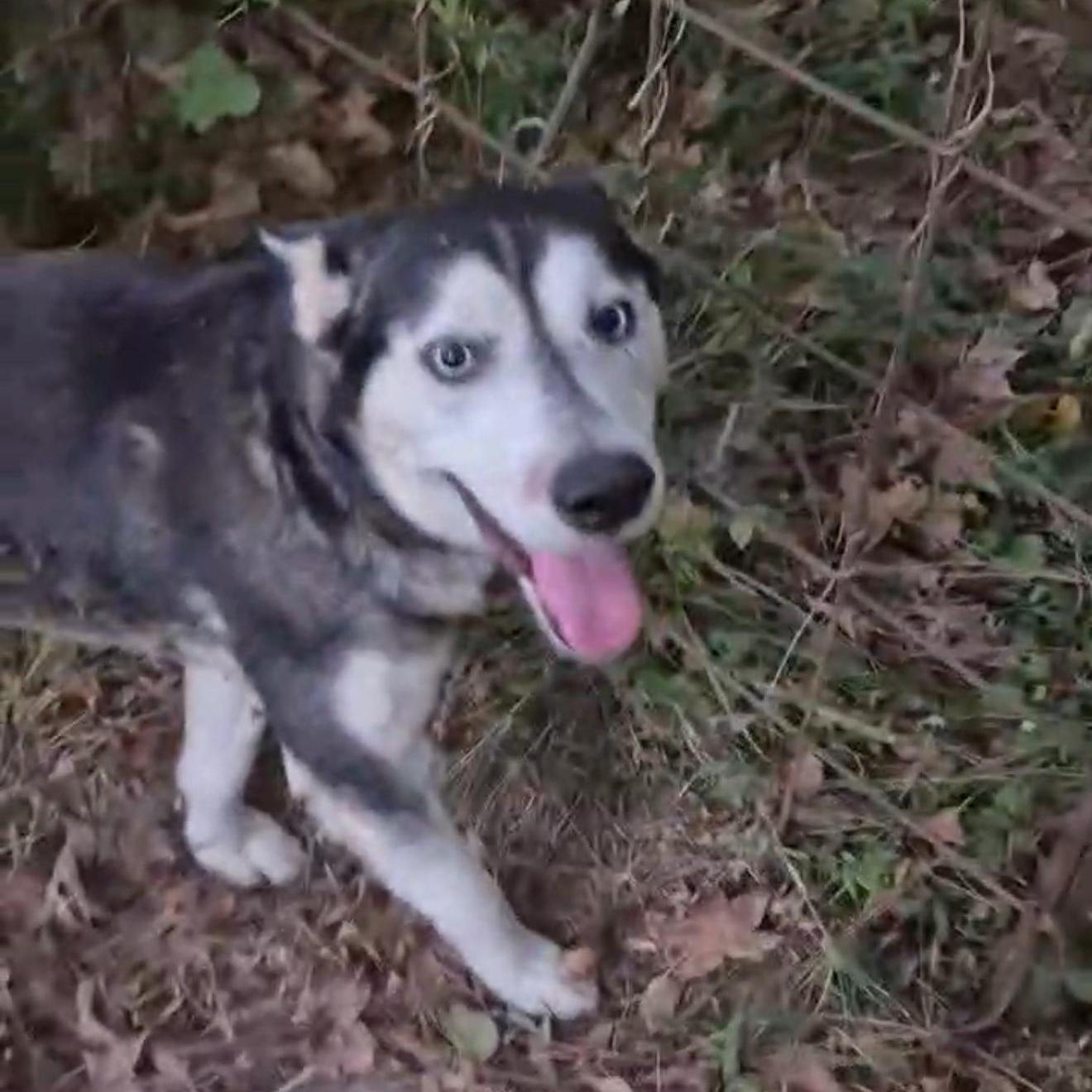 Benjamin Franklin "ben" photo 1