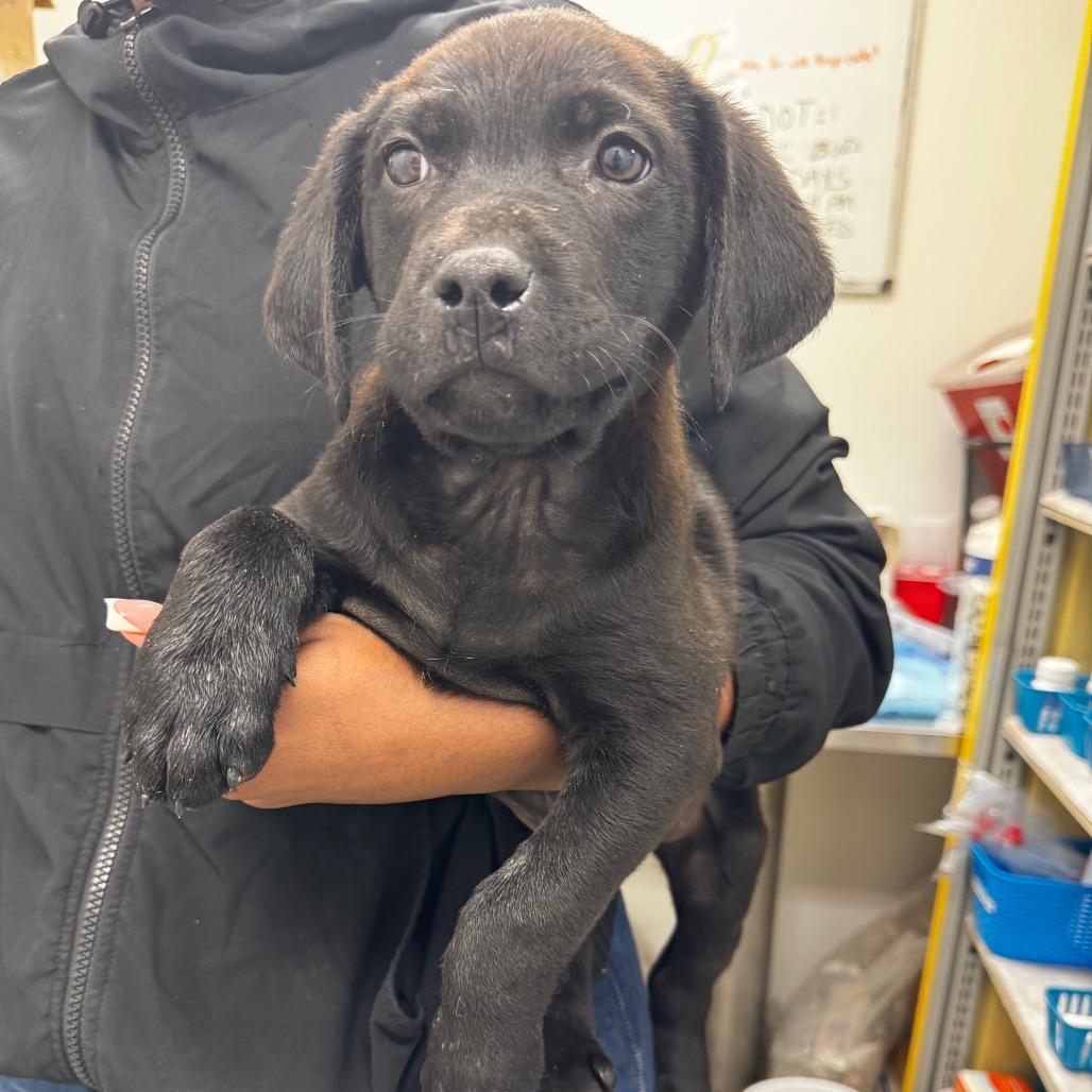 Daequan Wright photo 1