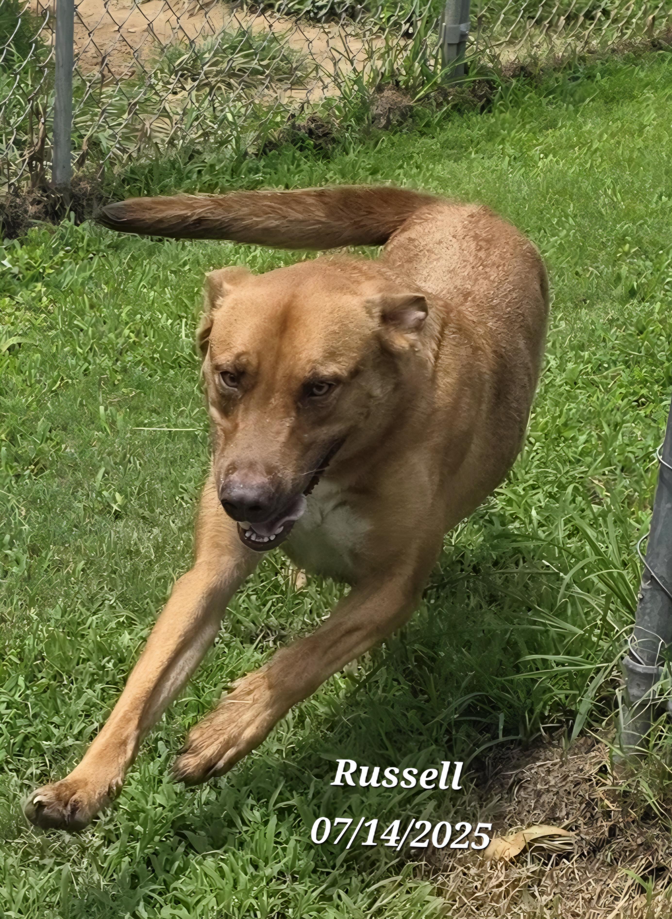 Russell