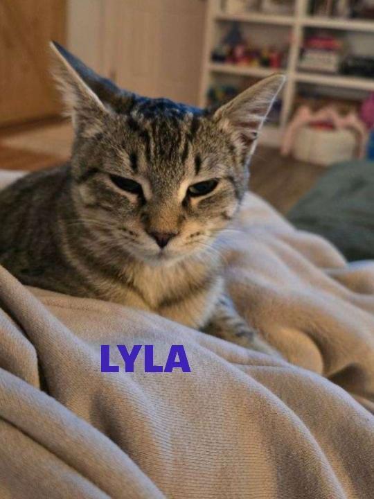 Lyla