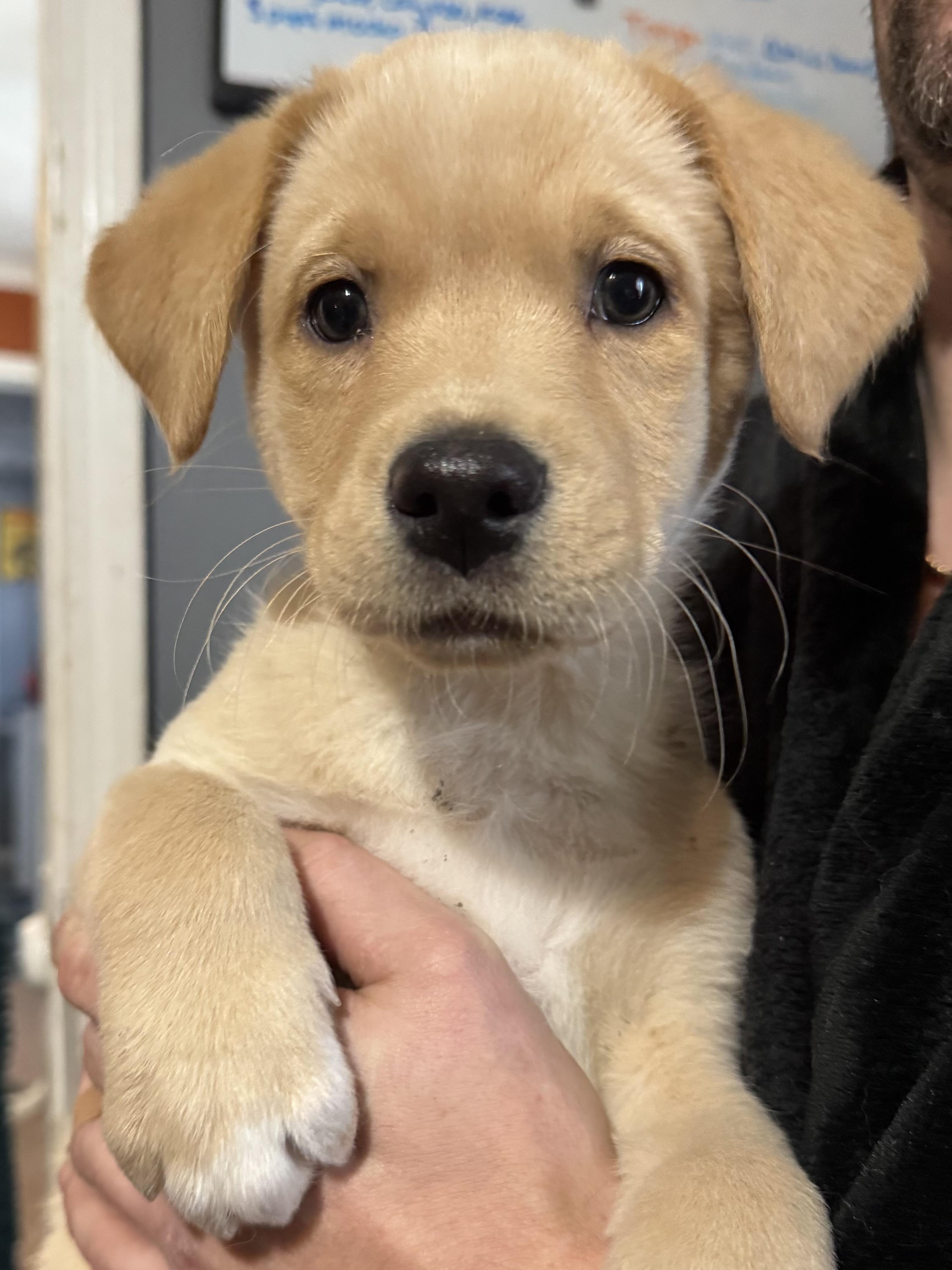 Jane! Sweet Gorgeous Girl!