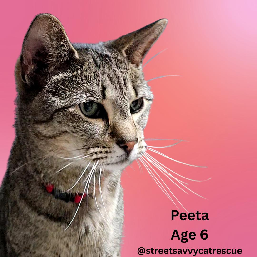 Peeta – Age