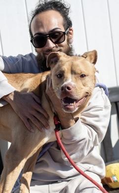 A senior large-sized female Mixed Breed dog named Lena for adoption in Atlanta, GA