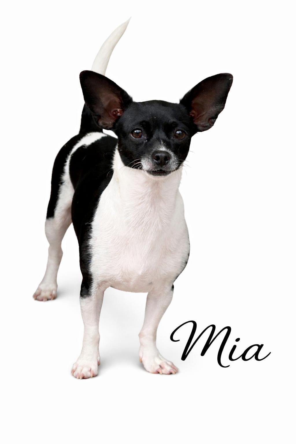 Mia