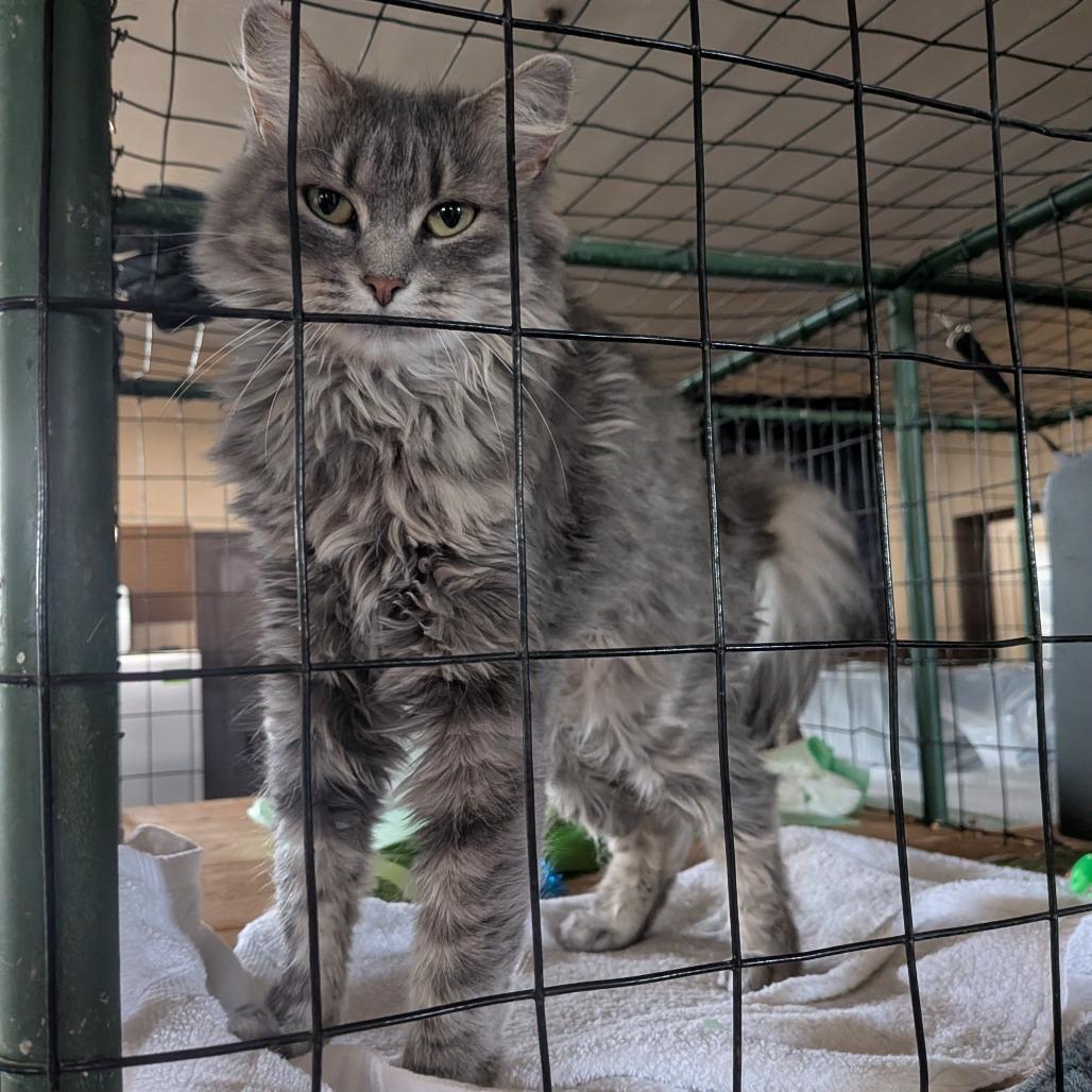 Margot Special Needs photo 1