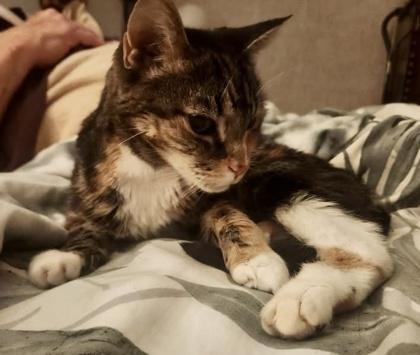 Gertrude `a Priority