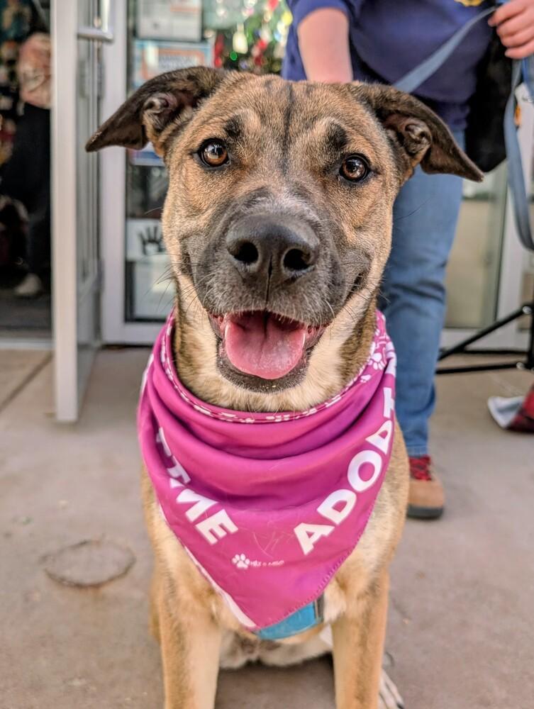 Willow From The East