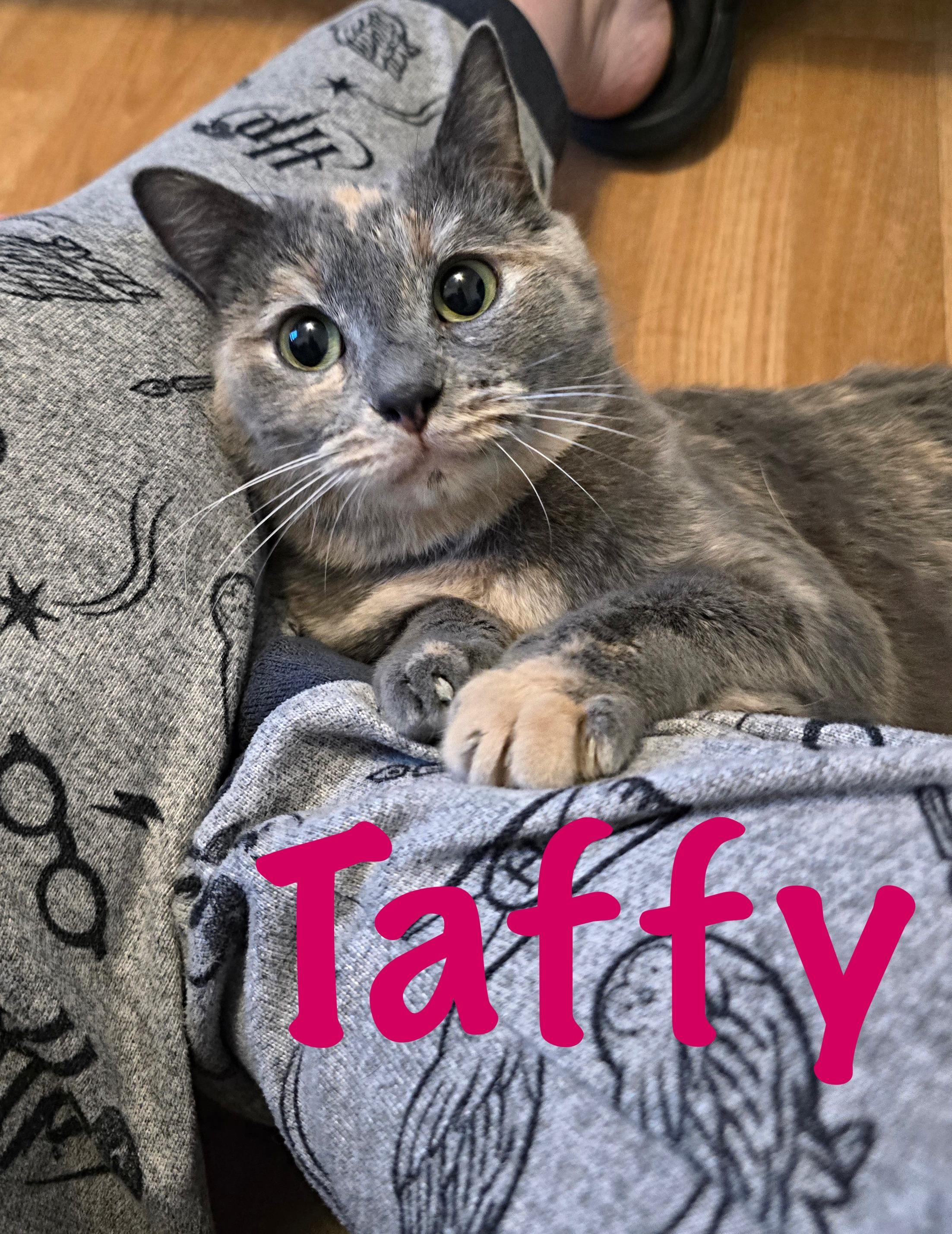 Taffy