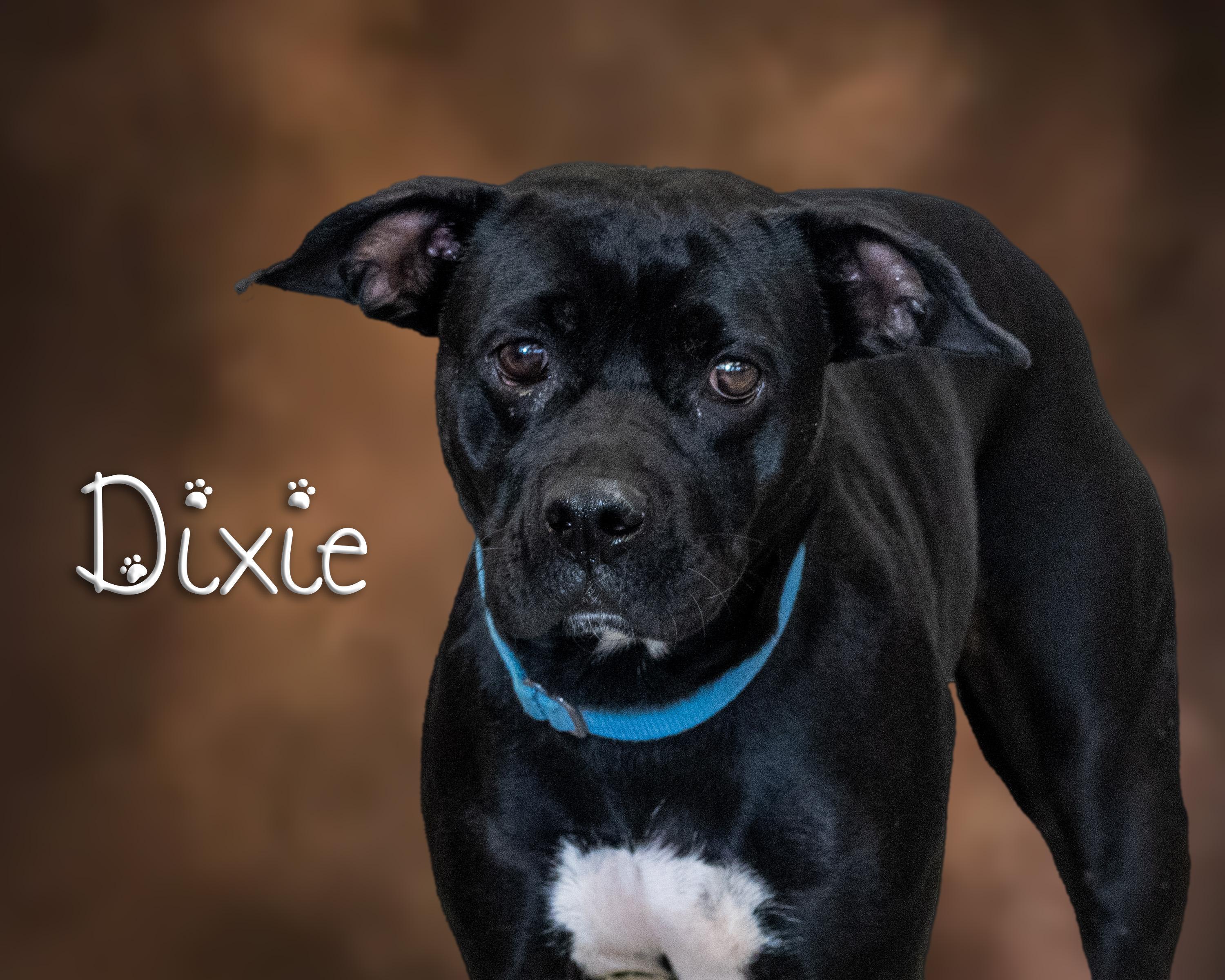 Dixie