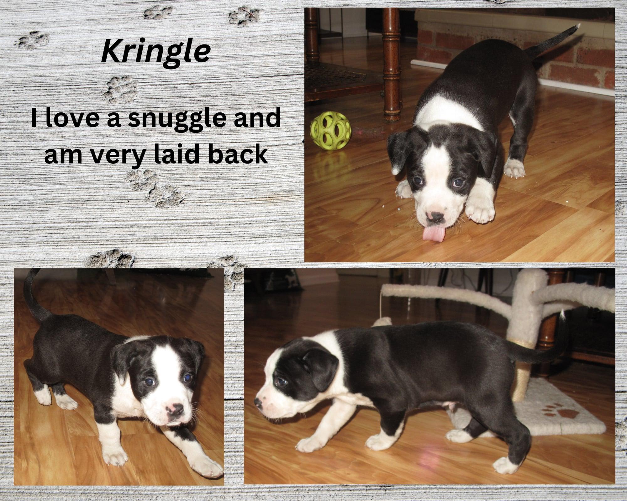 Kringle