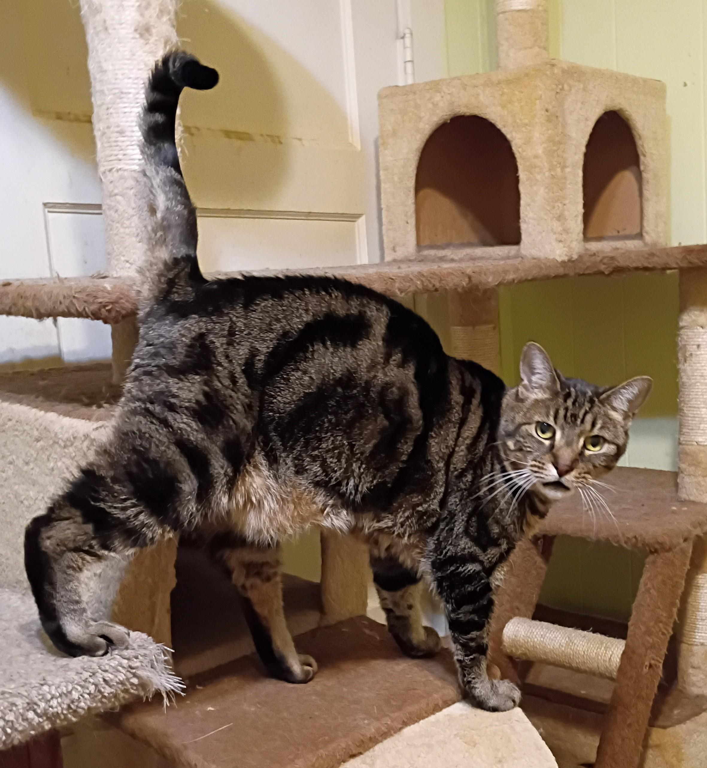 Hazel Super Friendly!