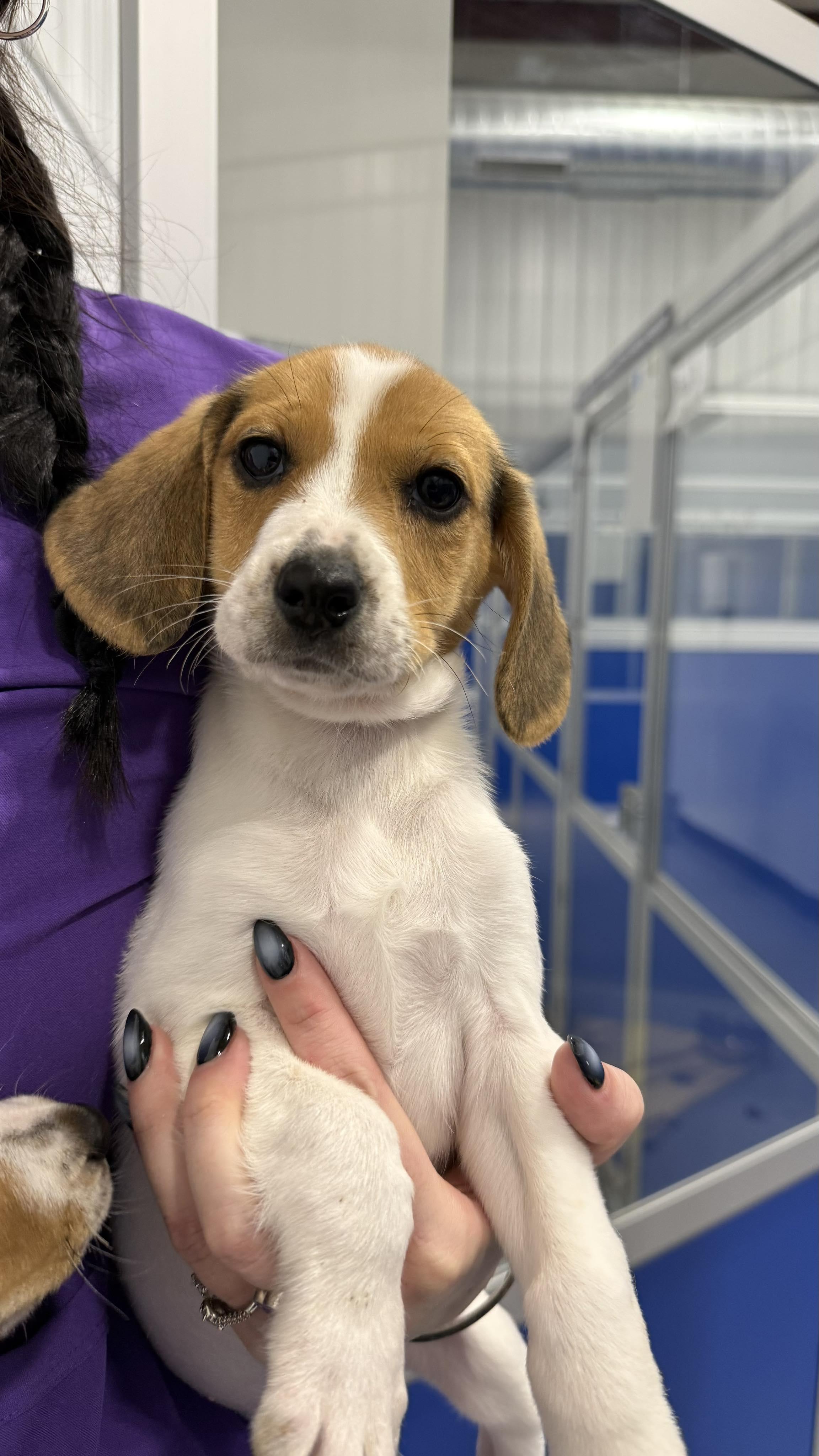 Emily Prentiss photo 1