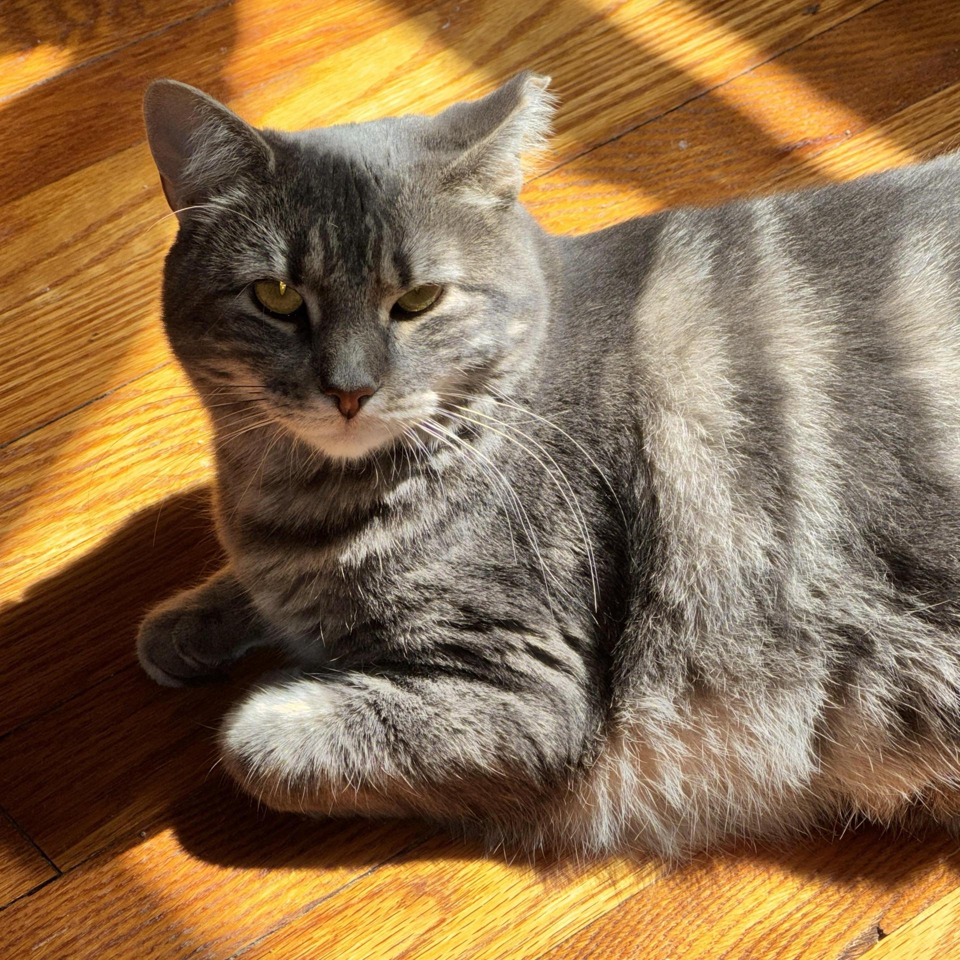 Quirky & Chutney photo 1