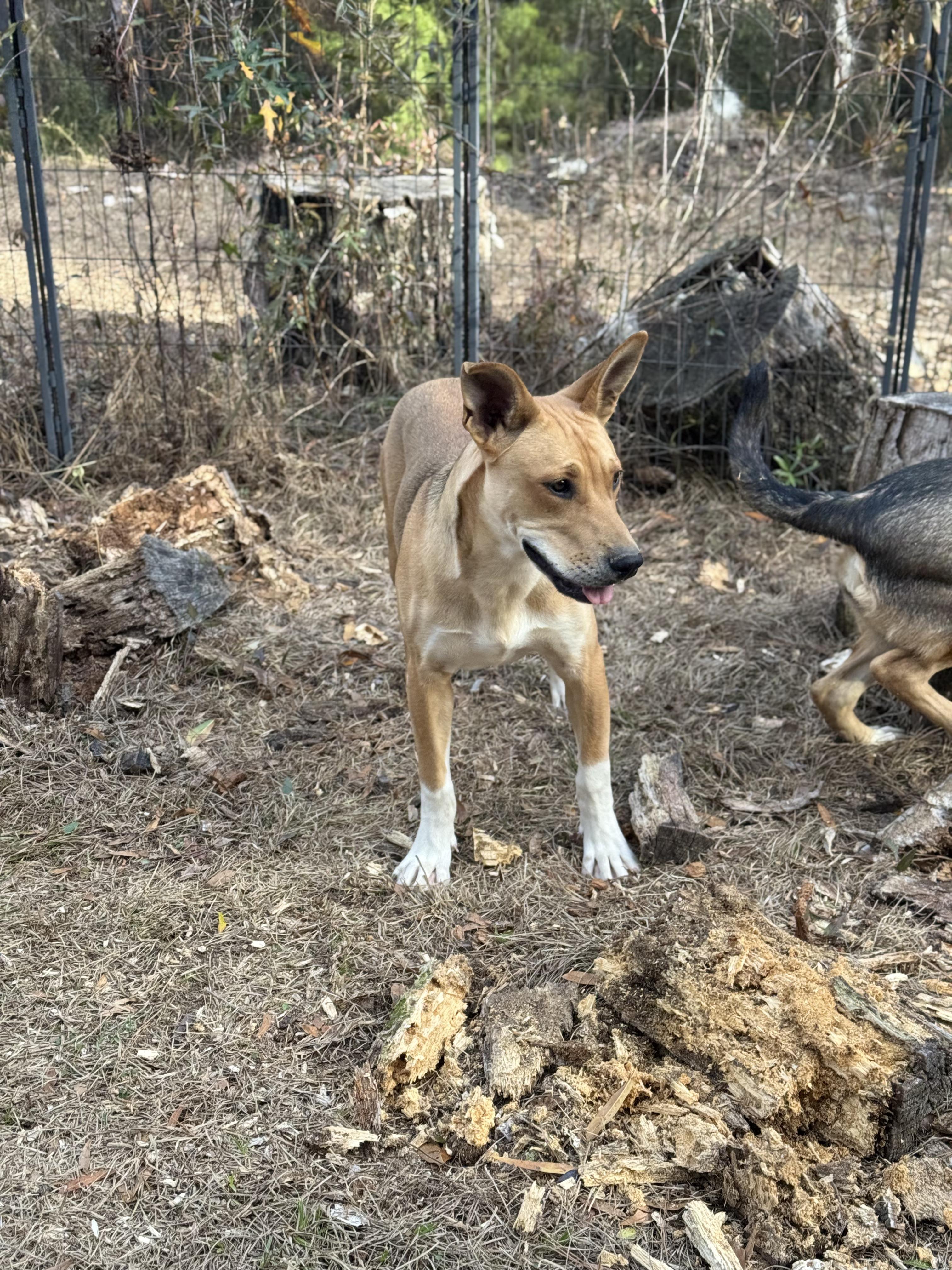 Madam Sideeye Snitchington