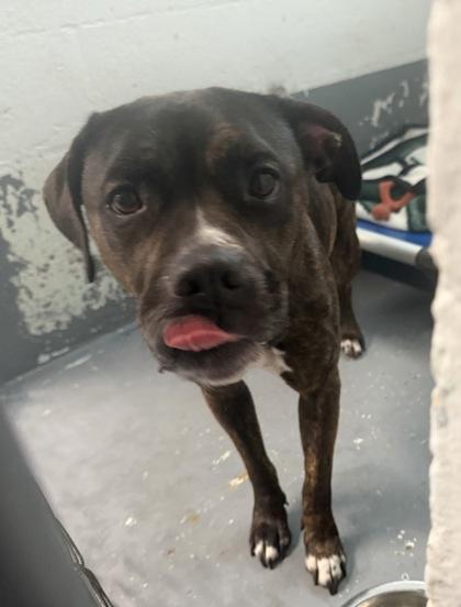 Cherry Limeade photo 1