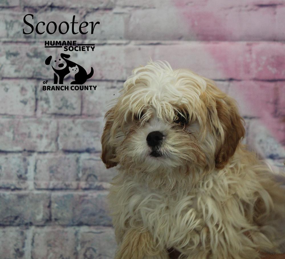 Scooter