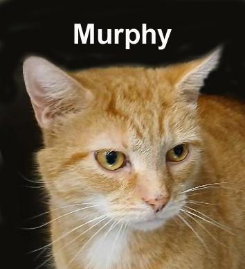 Murphy Fuh. photo 1