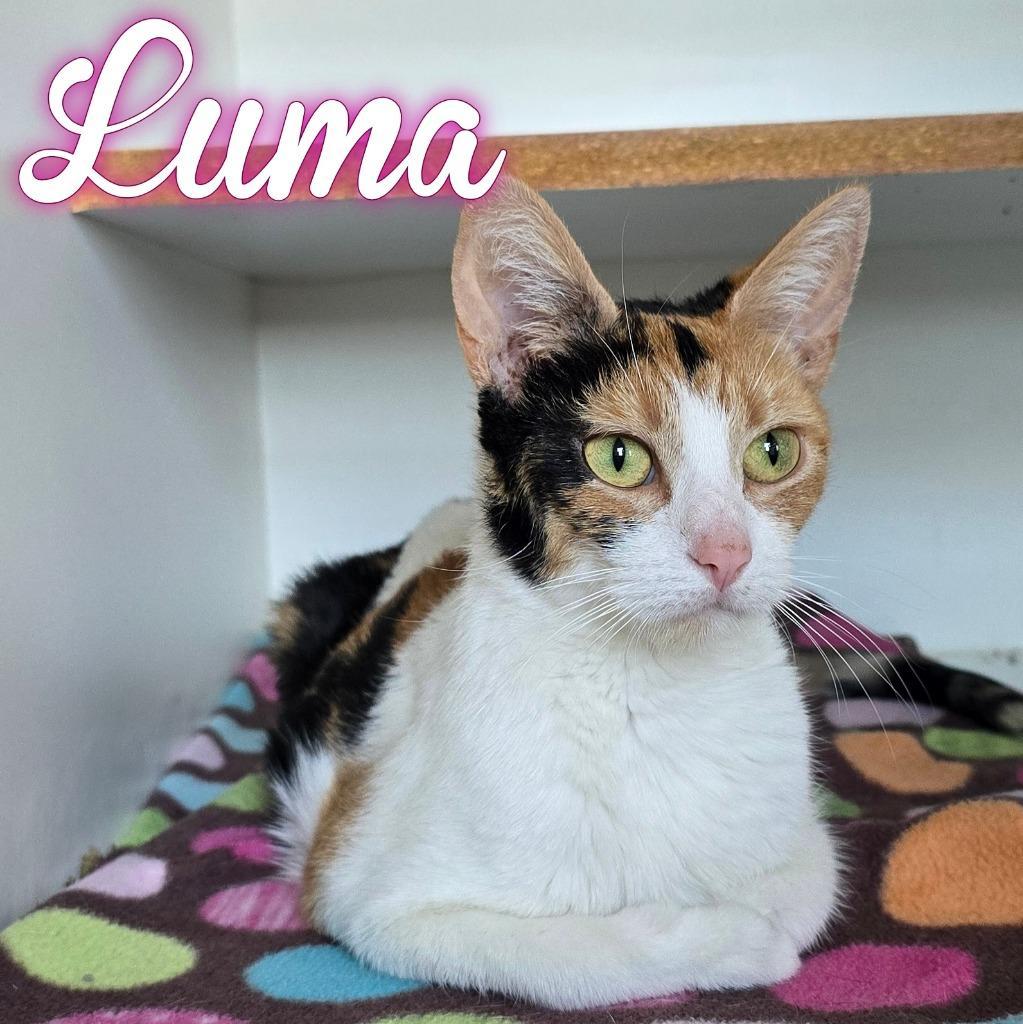 Luma