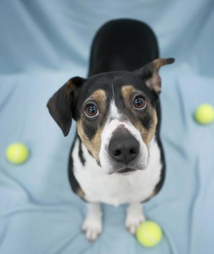 Jet~ Lbs!~ Sponsored!