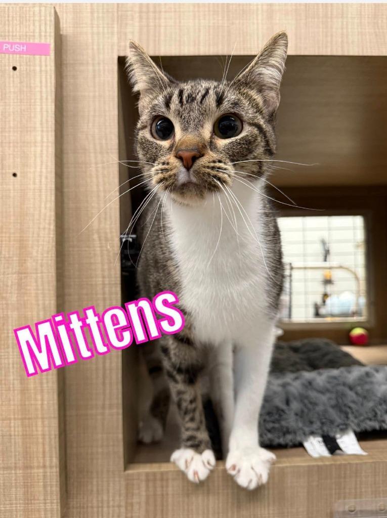 Mittens