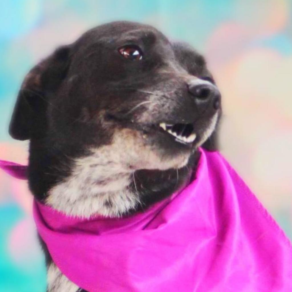 Laila Aka Quintana Jum